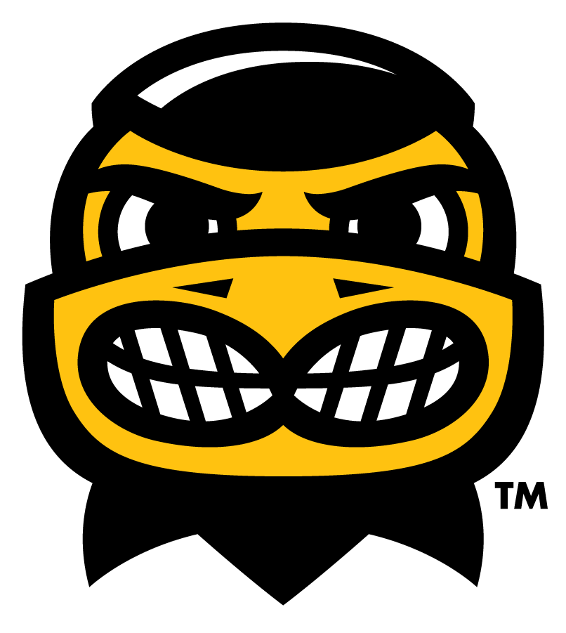 Iowa Hawkeyes 2013-Pres Mascot Logo v2 iron on transfers for T-shirts